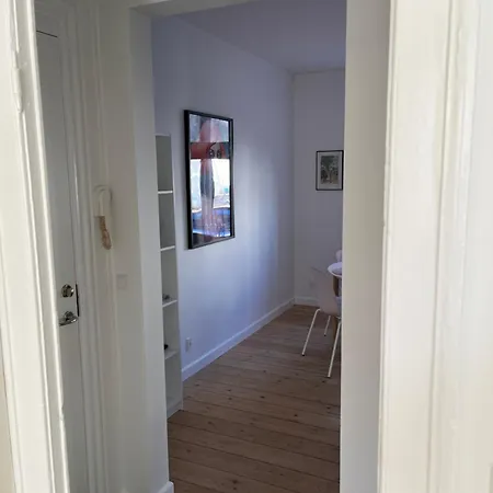 Stor I Smørhullet Af Centrum * Odense