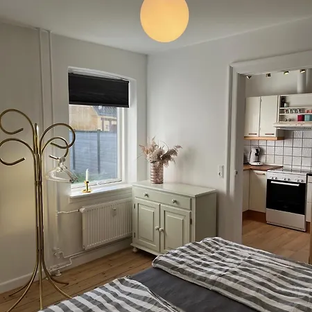 Stor I Smorhullet Af Centrum * Odense